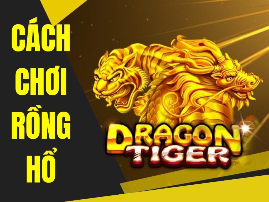 khám phá rồng hổ: hướng dẫn chơi để thắng lớn 1 khám phá rồng hổ: hướng dẫn chơi để thắng lớn